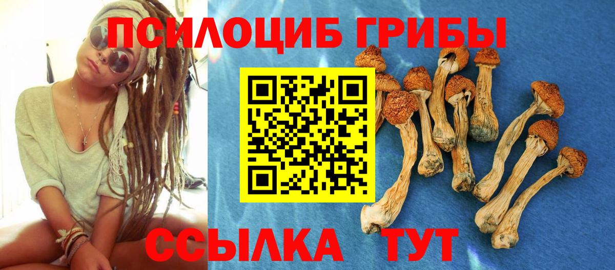 Новозыбков  Галлюциногенные грибы прущие грибы  Псилоцибиновые грибы прущие грибы  Вход с VPN 
