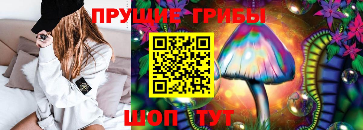 Псилоцибиновые грибы прущие грибы Новозыбков